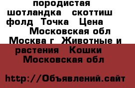 породистая   шотландка   скоттиш    фолд  Точка › Цена ­ 10 000 - Московская обл., Москва г. Животные и растения » Кошки   . Московская обл.
